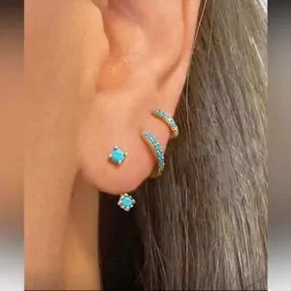 Turquoise earrings ?N1618